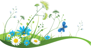 offers_spring_banner